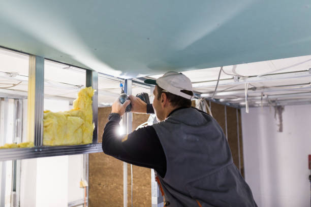 Best Specialty Insulation in Homeland, CA